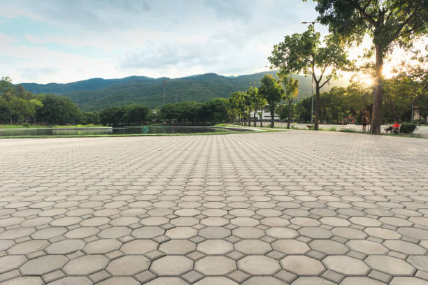 Best Affordable Driveway Pavers  in Ronceverte, WV